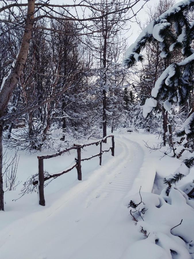 Bakkakot 2 - Cozy Cabins In The Woods Akureyri Luaran gambar